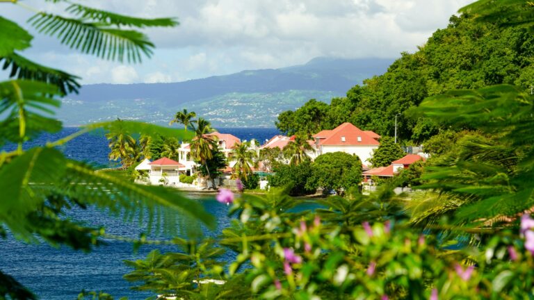 Bonjour Gwada: the 12 best Airbnbs in Guadeloupe