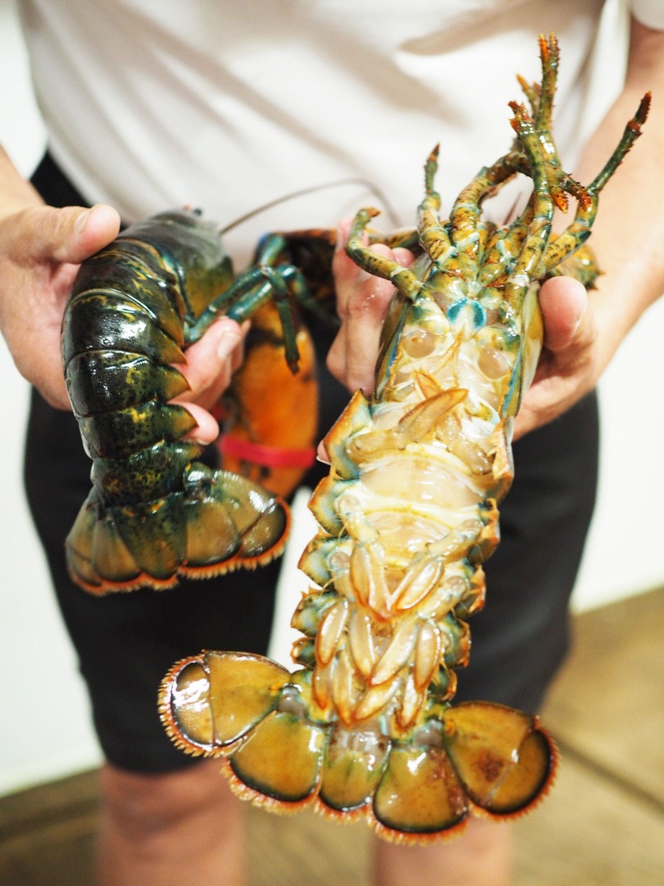 Nova Scotia Road Trip