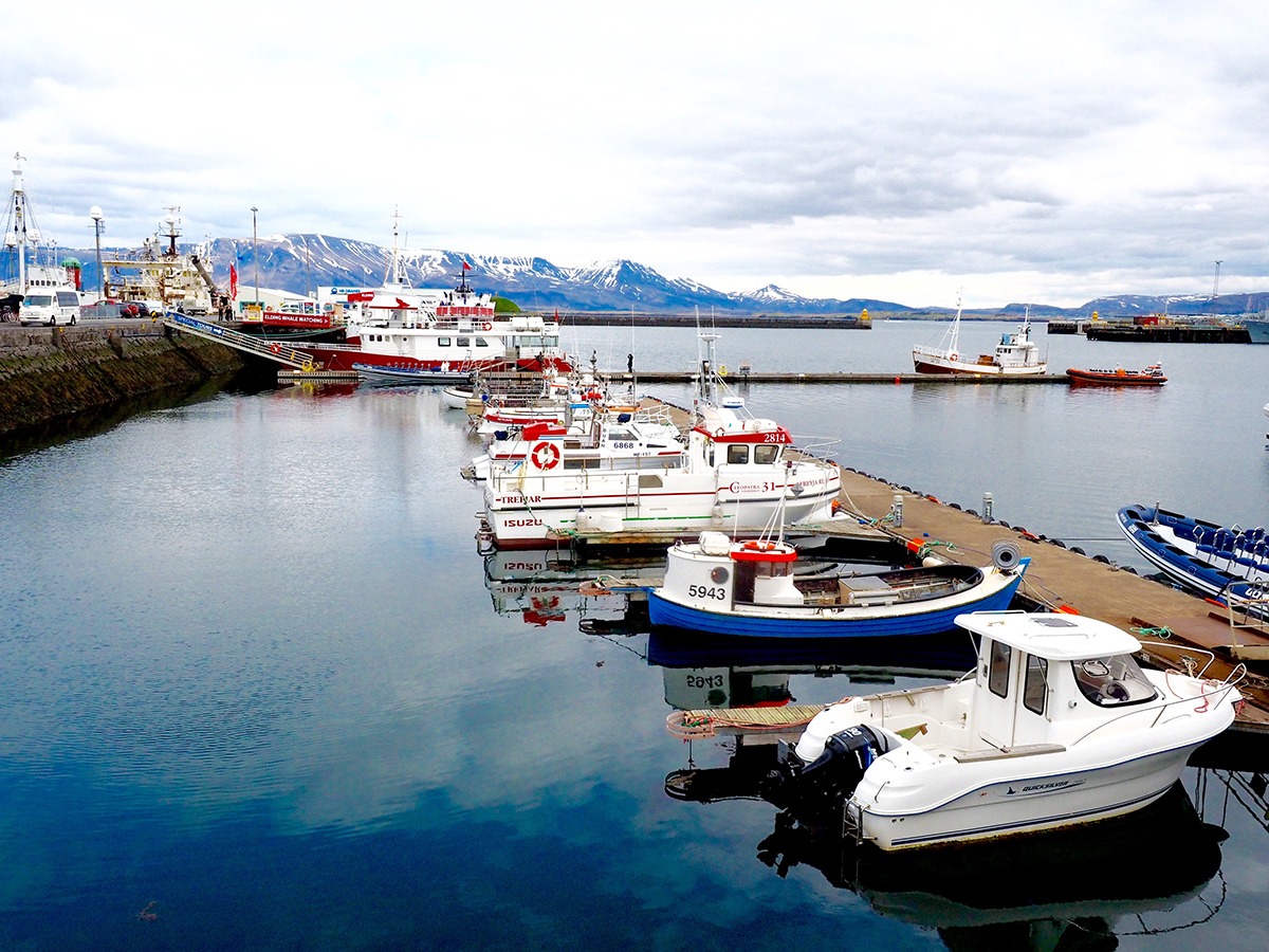 photos of reykjavik