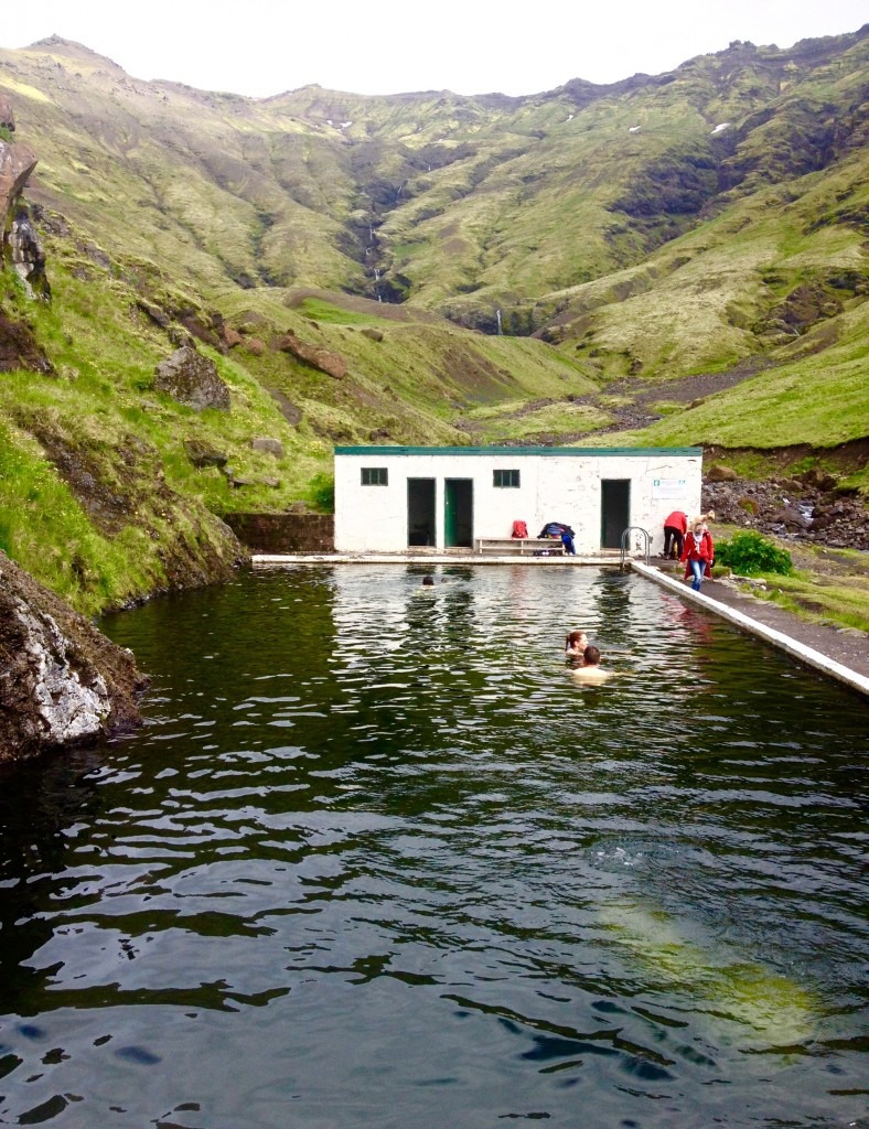 The secret pool of South Iceland, Seljavellir - The Best Day Trips From Reykjavik